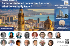 Málaga acoge el 10º MELODI Workshop on Radiation-Induced Carcinogenesis